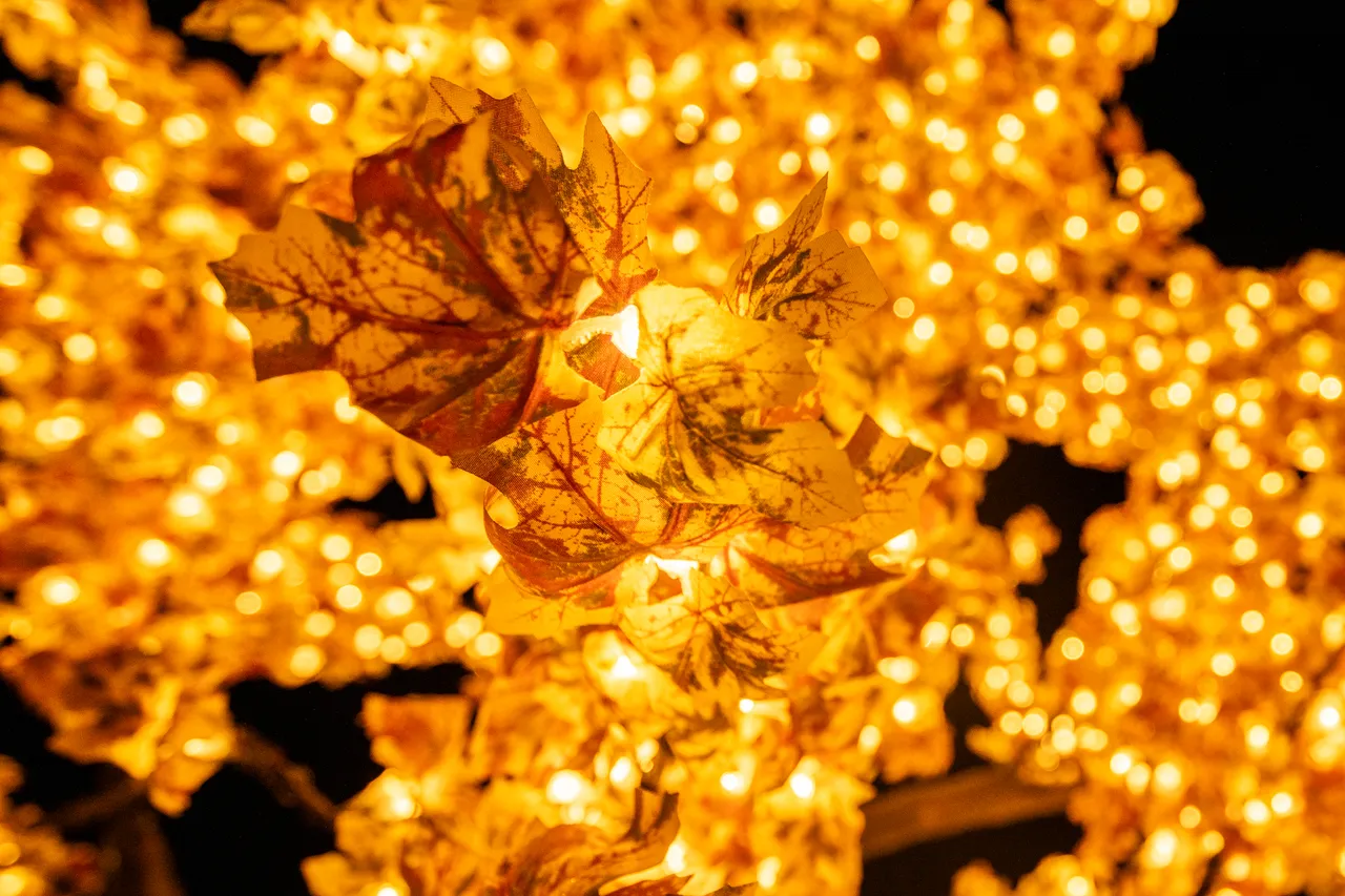 Kāhui Whetū Matariki Festival 2023 