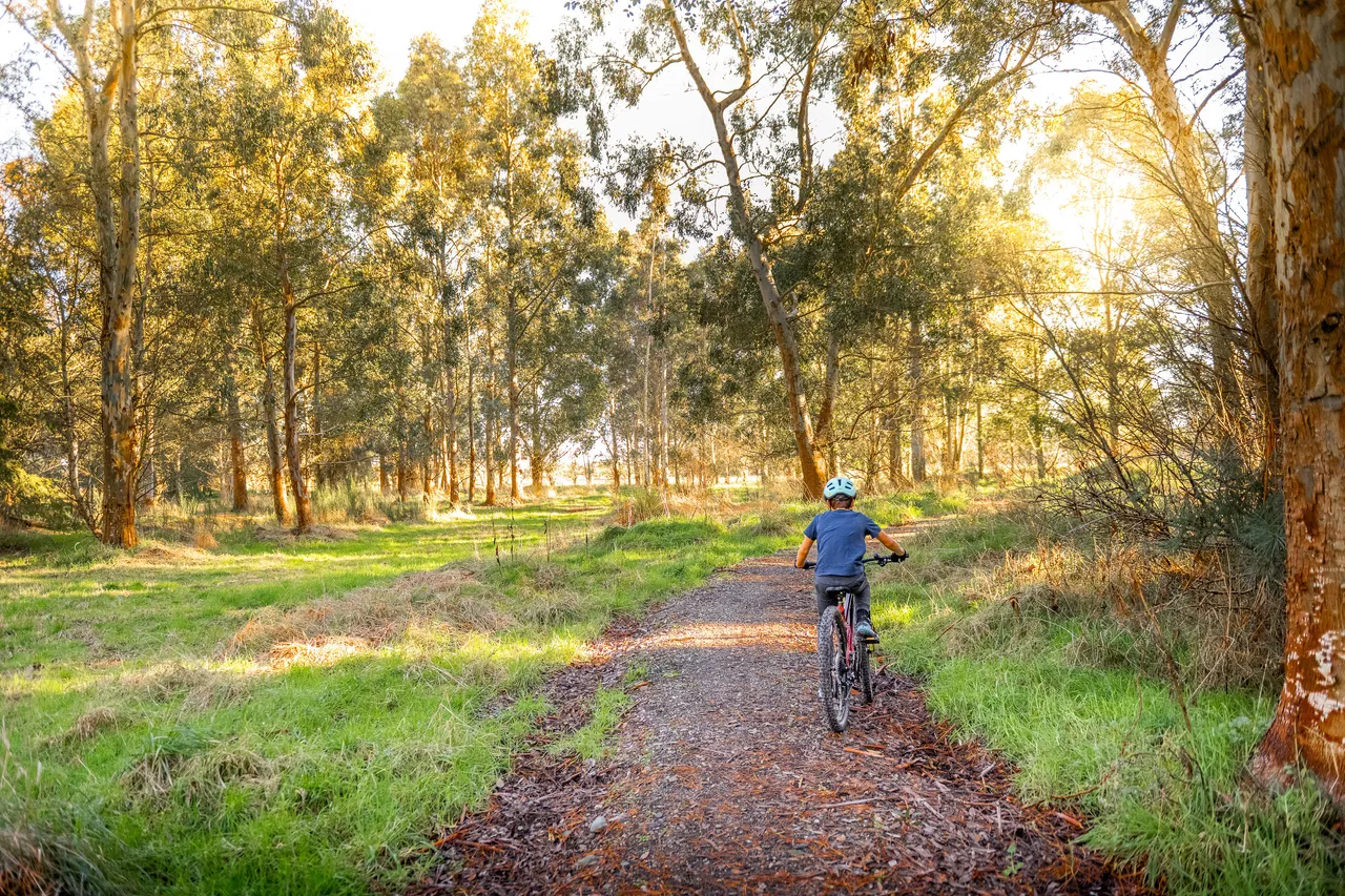 Hamilton Park Bike Track