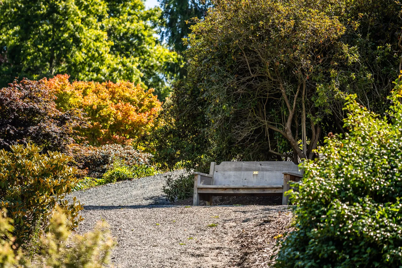 A solitary bench is situated along a gravel pathway, surrounded by lush green and orange foliage in a park-like setting under a sunny sky.
