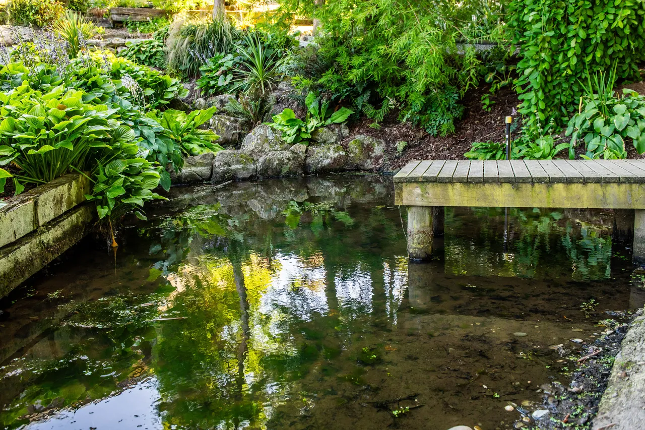 A wooden dock overhangs a small pond surrounded by lush greenery and rocks.