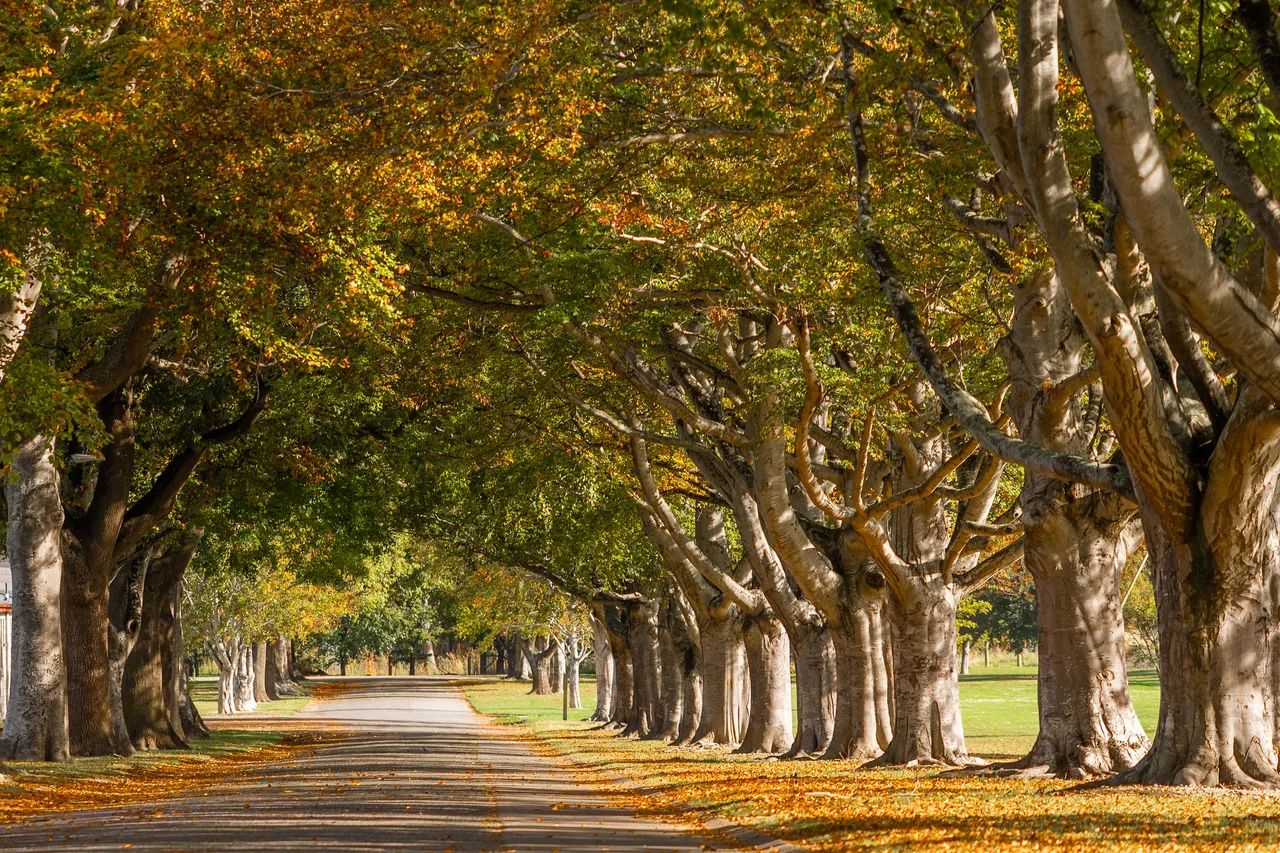Hamilton Park
