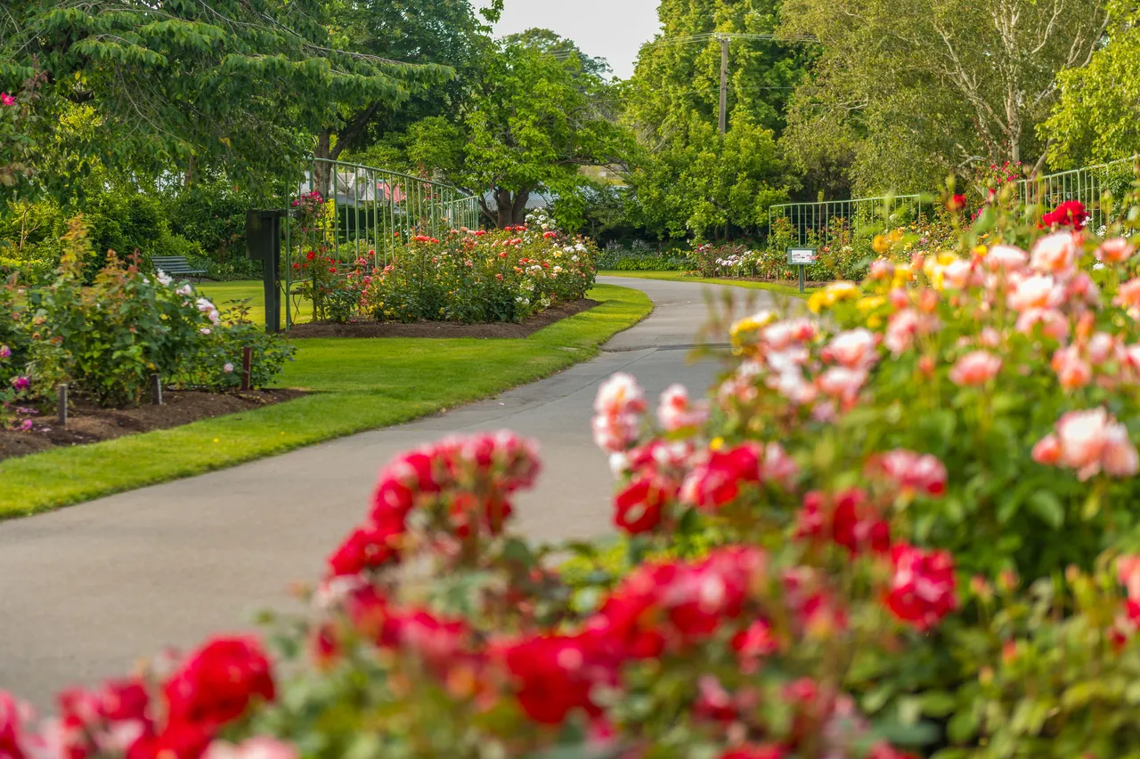 A winding path lined with blooming red flowers in a lush garden setting.