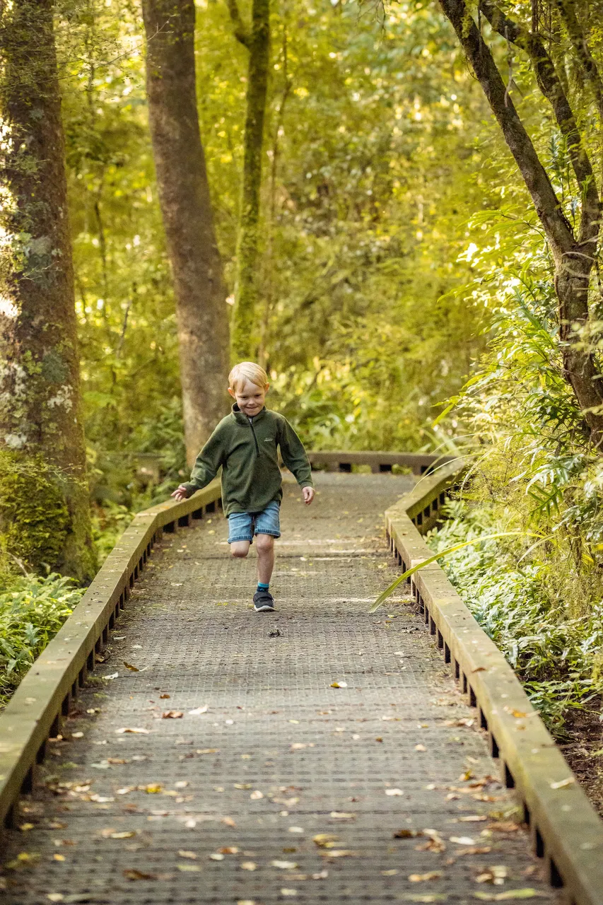 Dolamore Park Walking Tracks
