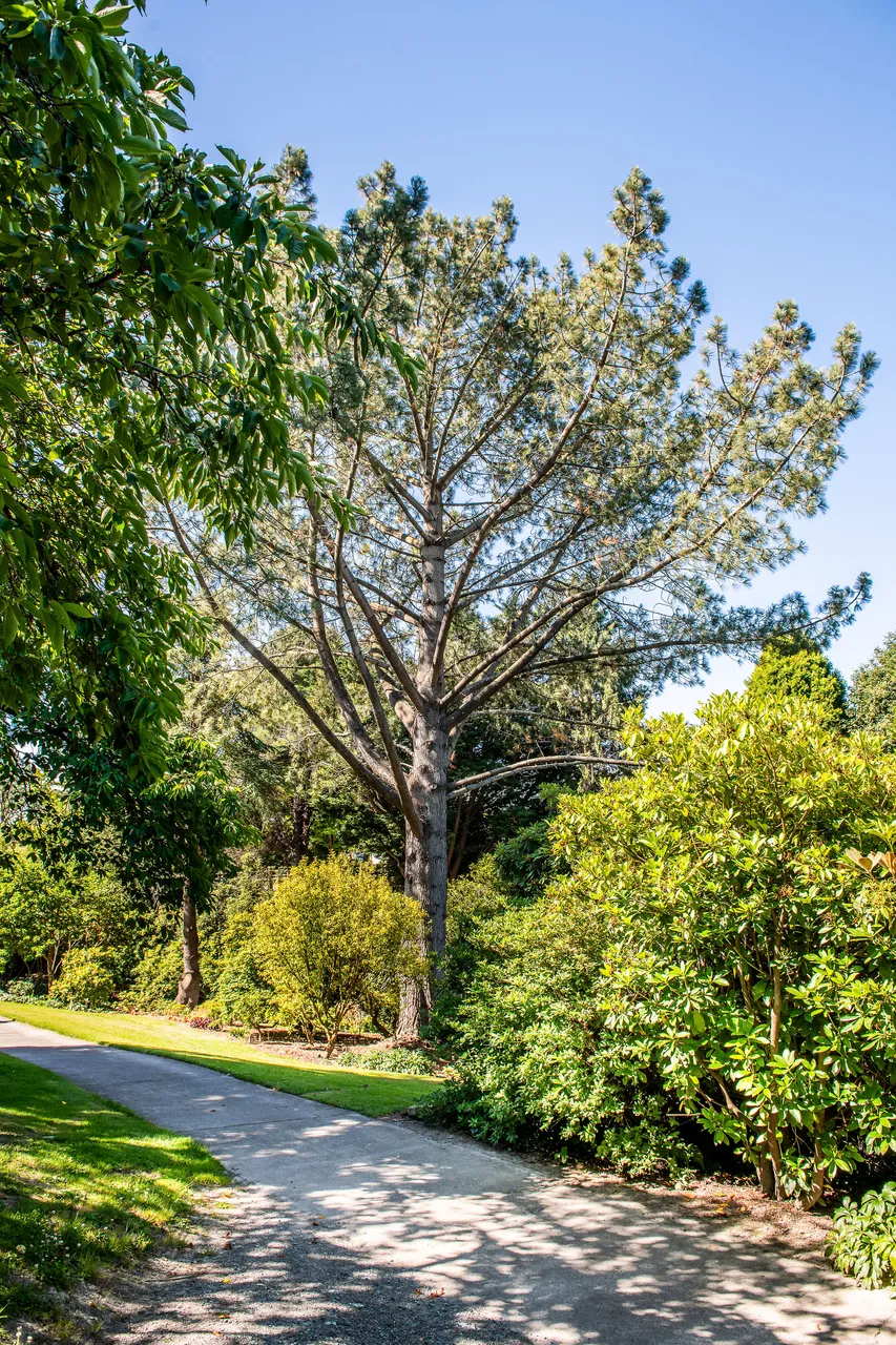 Bannerman Park