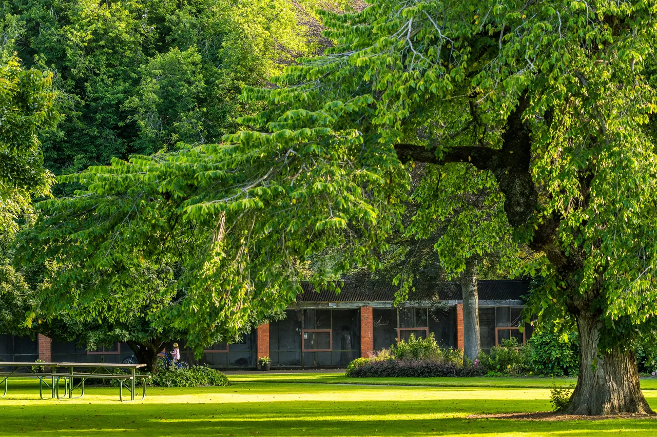 Lush green park with a large tree in the foreground and an aviary in the background.