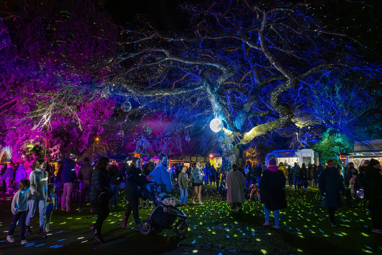 Glitter disco ball in tree with light spots shining on the grass. People at food vans.