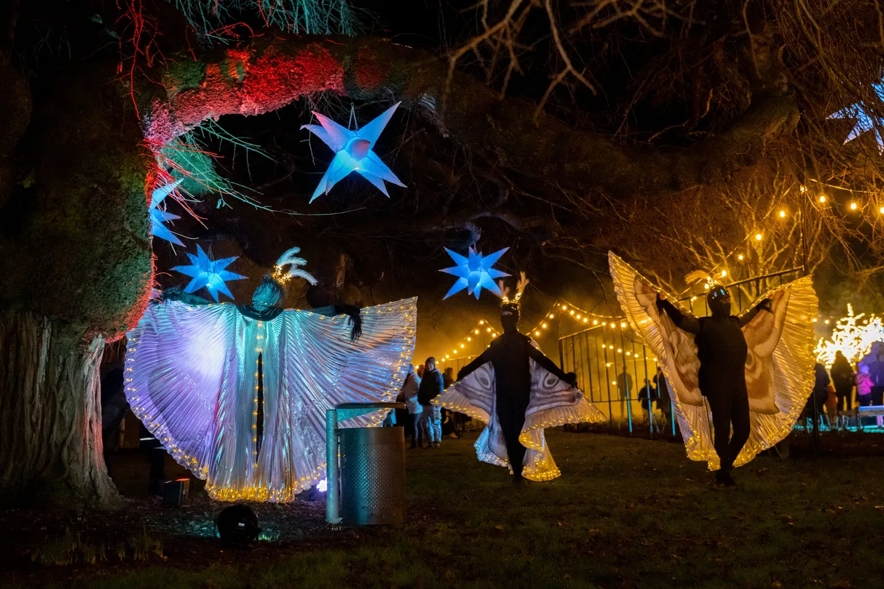 Three moth performers underneath blue star display