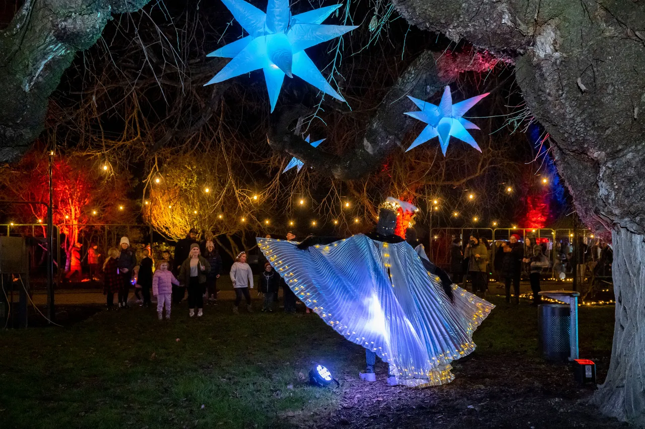 Back of one moth performer under blue star display. People watching in background.