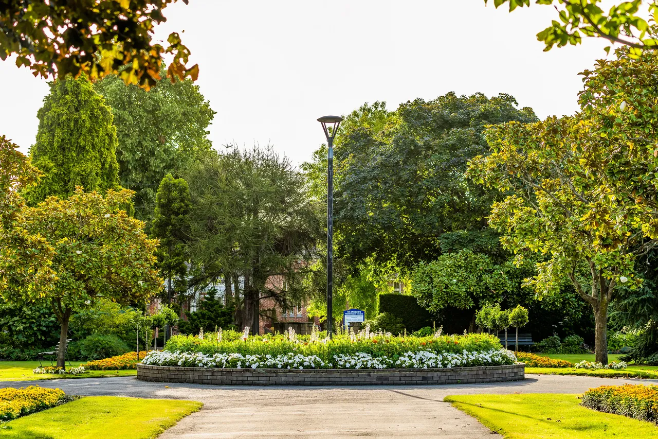 A circular flower bed with white flowers surrounded by trees and greenery, with a lamppost in the center, under a bright sky.