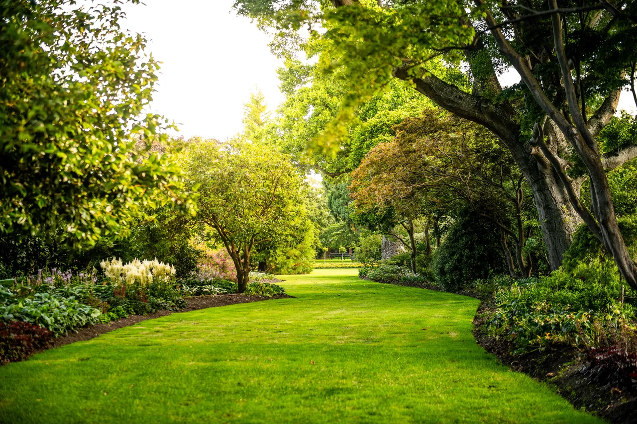 Lush garden pathway with vibrant green grass and diverse trees.