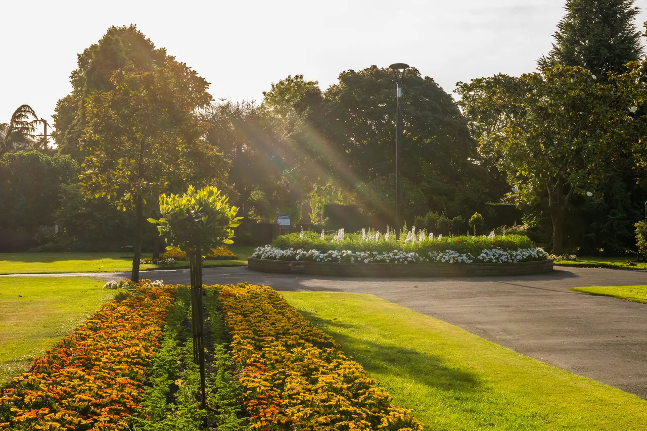 A sunlit park scene with colorful flower beds, a circular arrangement of white and purple flowers, lush green grass, and trees in the background.