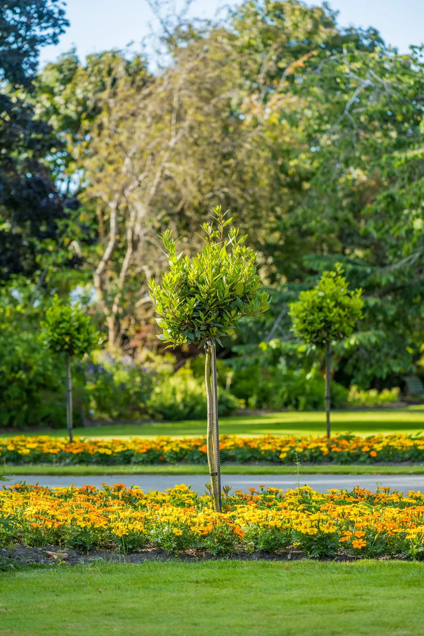 Bannerman Park