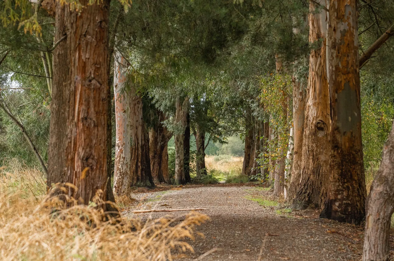 Hamilton Park