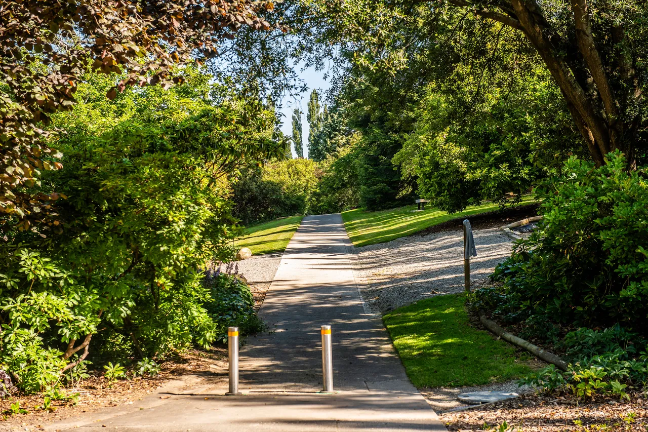 A paved path curves through a grassy park with various green trees under a clear blue sky.