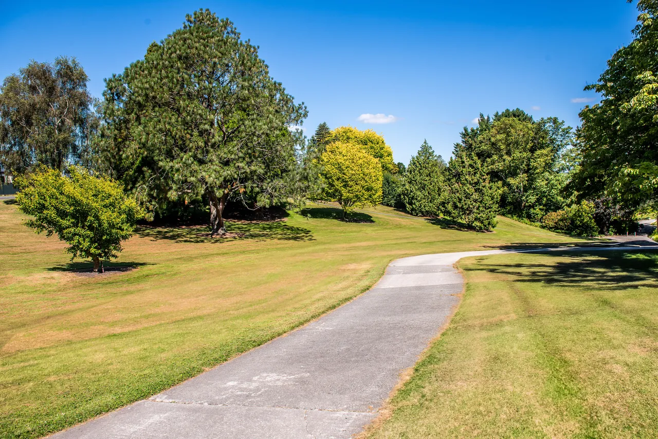 A paved path curves through a grassy park with various green trees under a clear blue sky.
