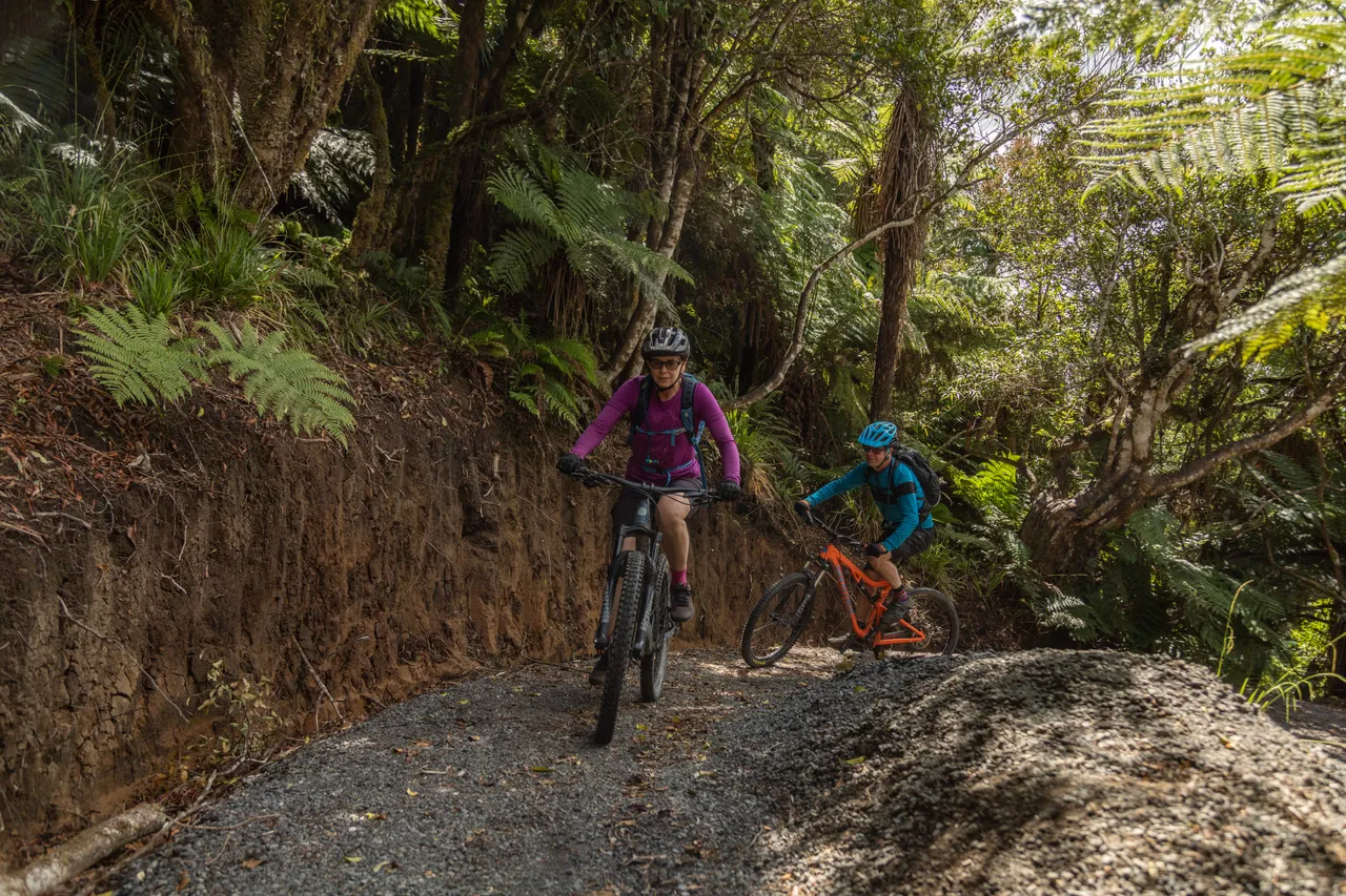 Mountain Biking The Marton Sash and Door Trail