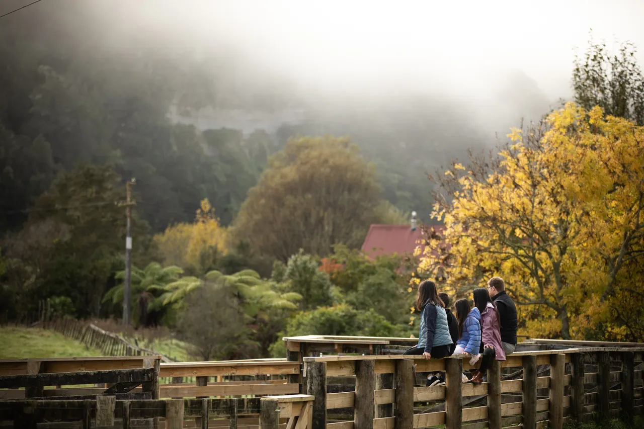 Mist rolling across Blue Duck Station