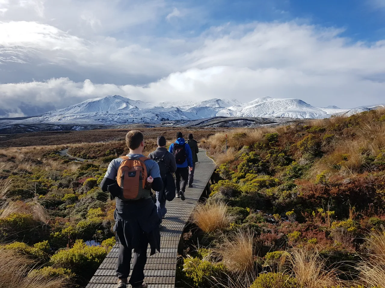 Adrift Tongariro