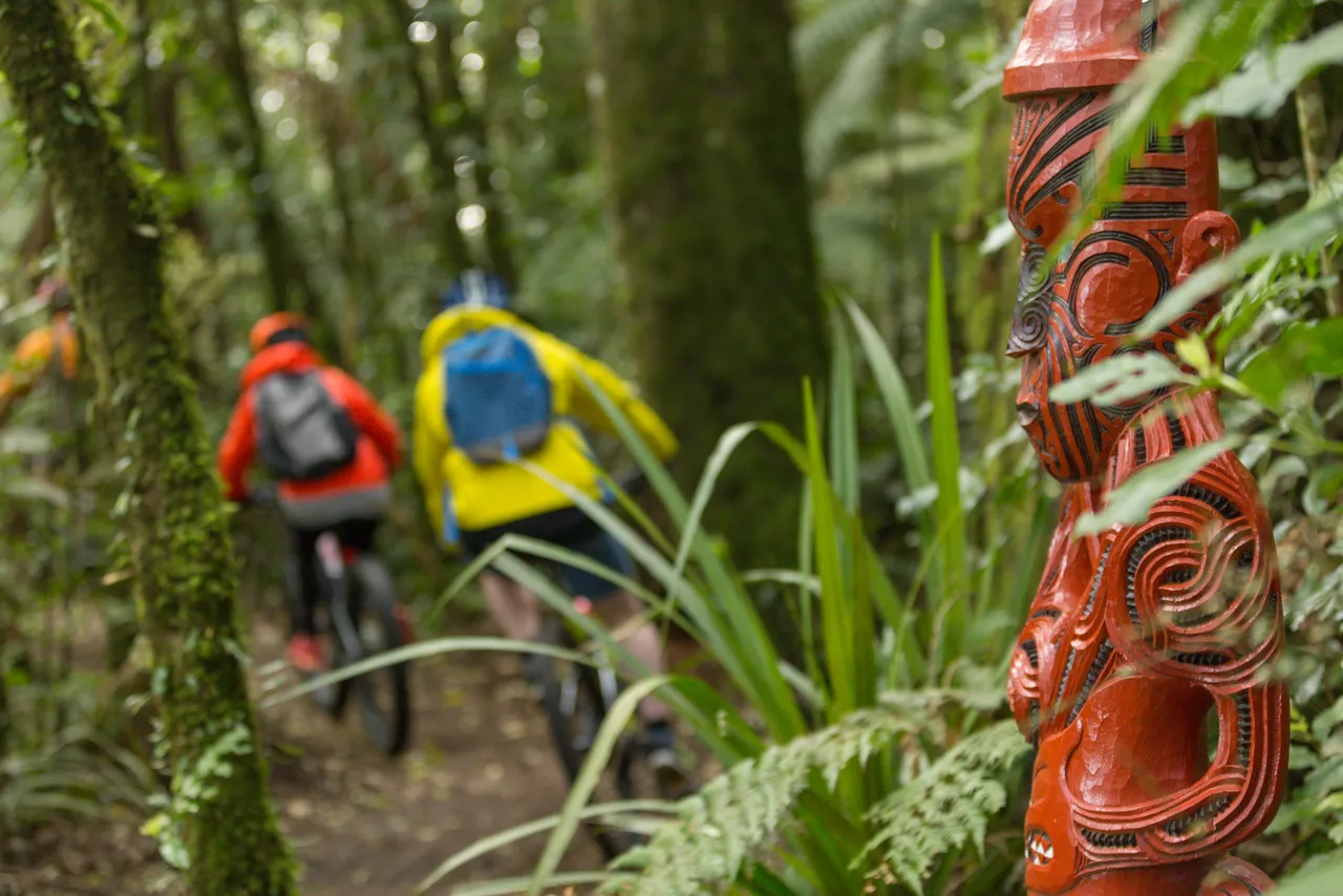 Timber Trail Ruapehu