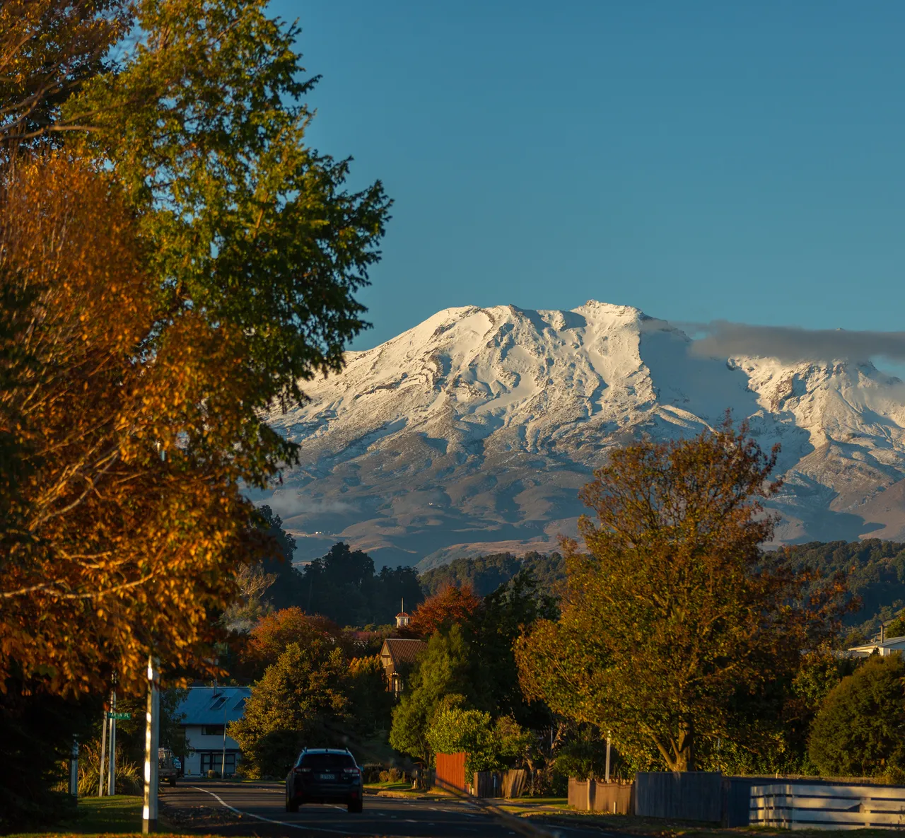 Ohakune Autumn