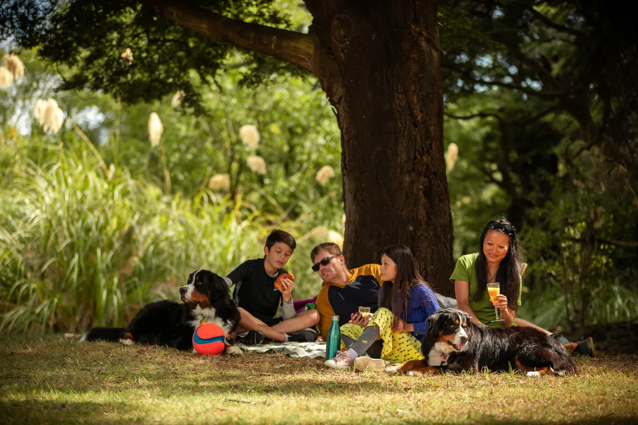 Family picnic beside the river in Ohakune