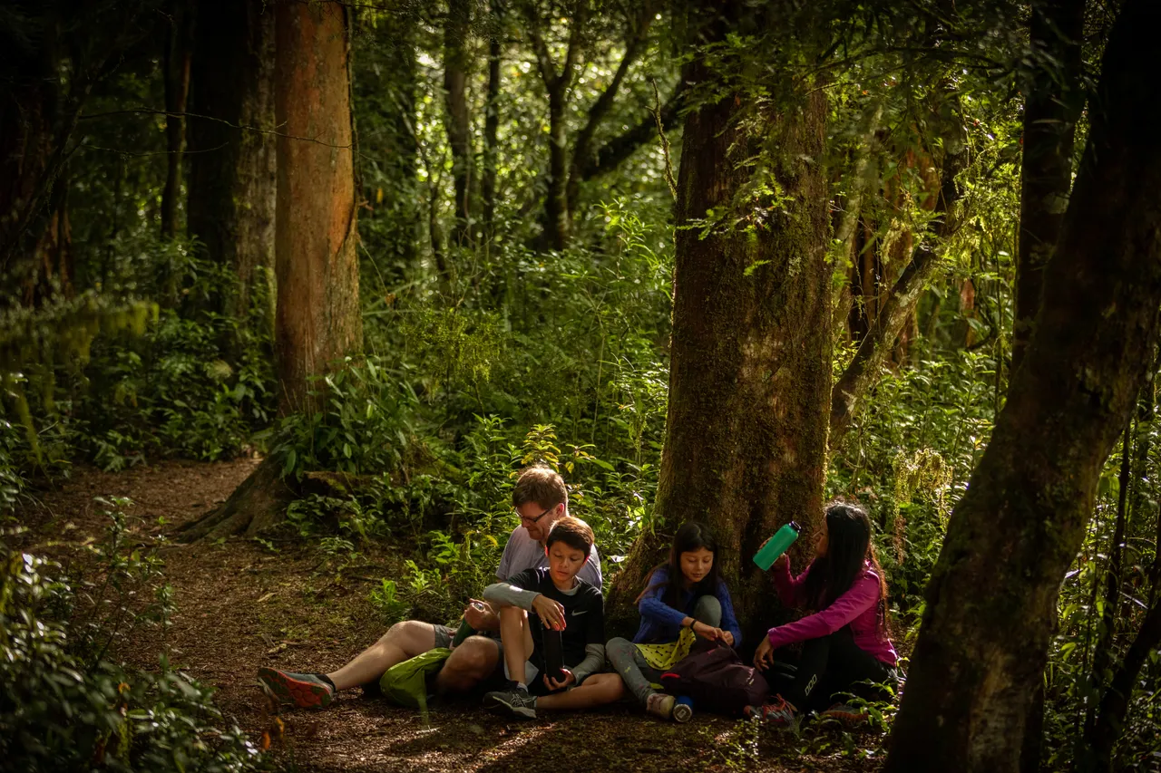 Water break in the bush