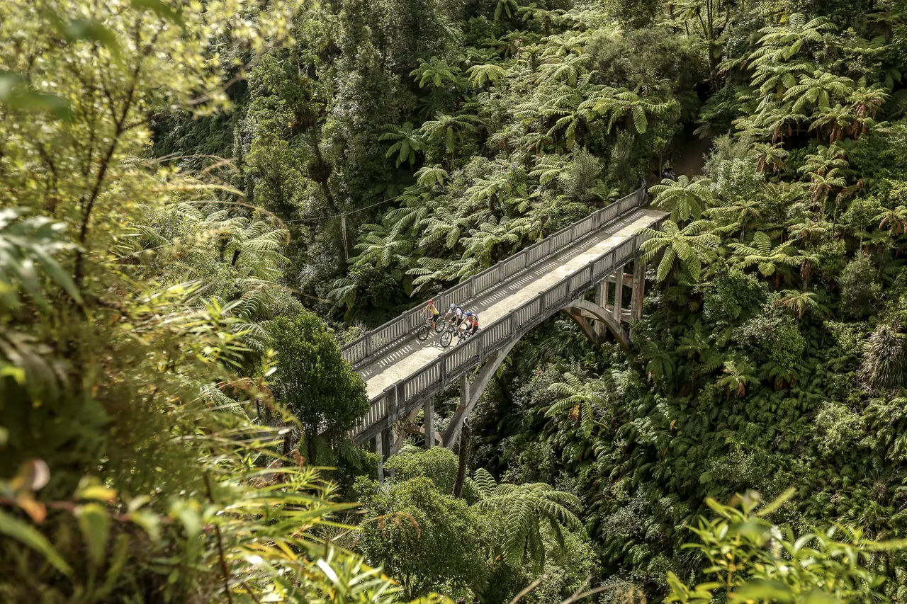 Lush Bridge to Nowhere