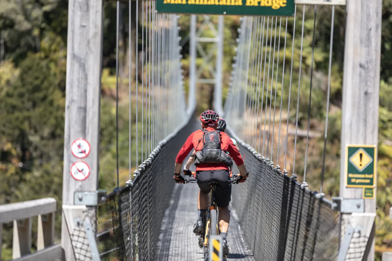 Cycling Bridge