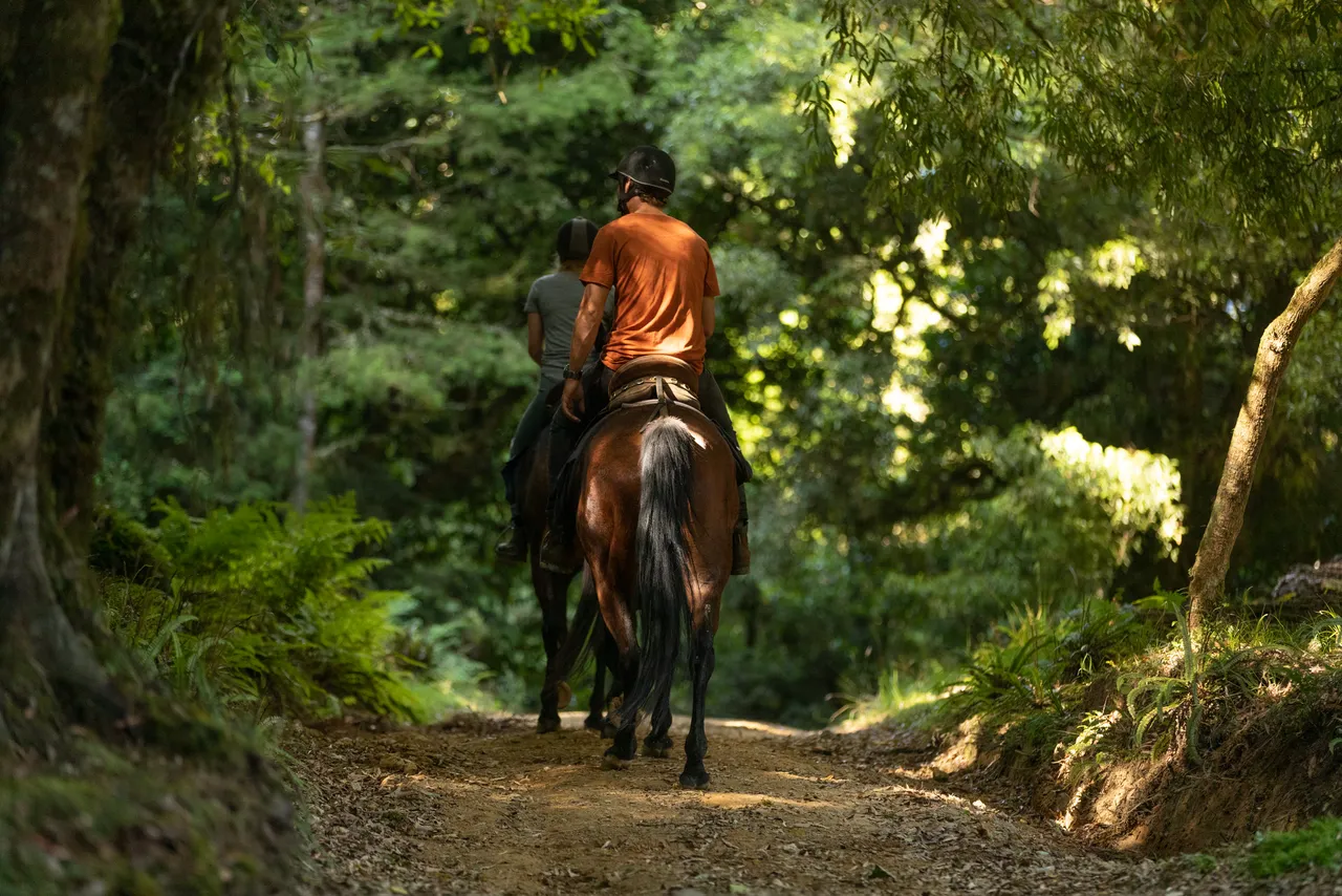 Horse Riding at Blue Duck Station