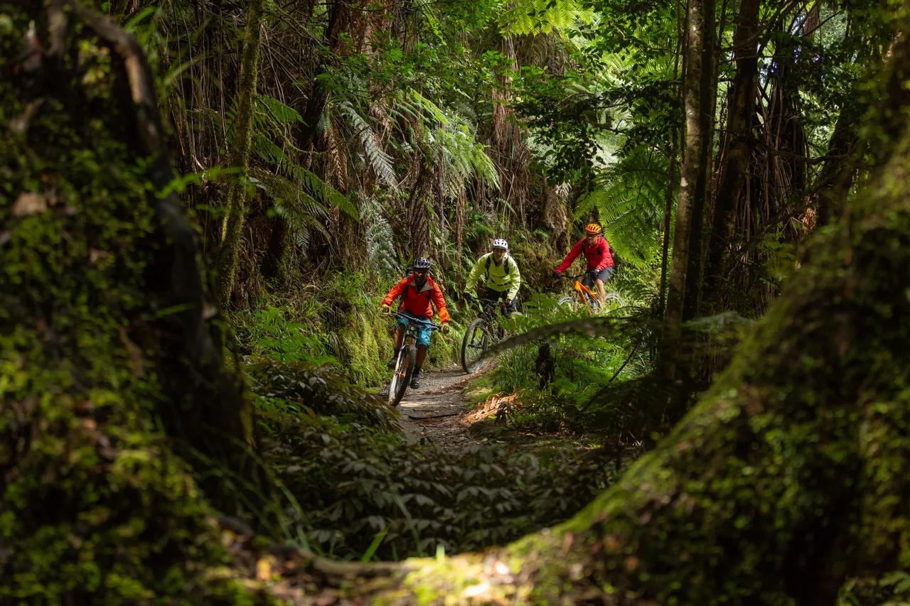 Cyclist on Mountain to Sea Trail 1U0A9978