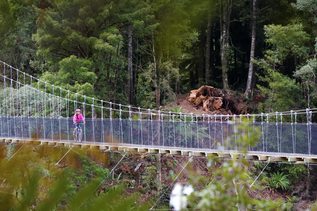 Maramataha Bridge - Timber Trail