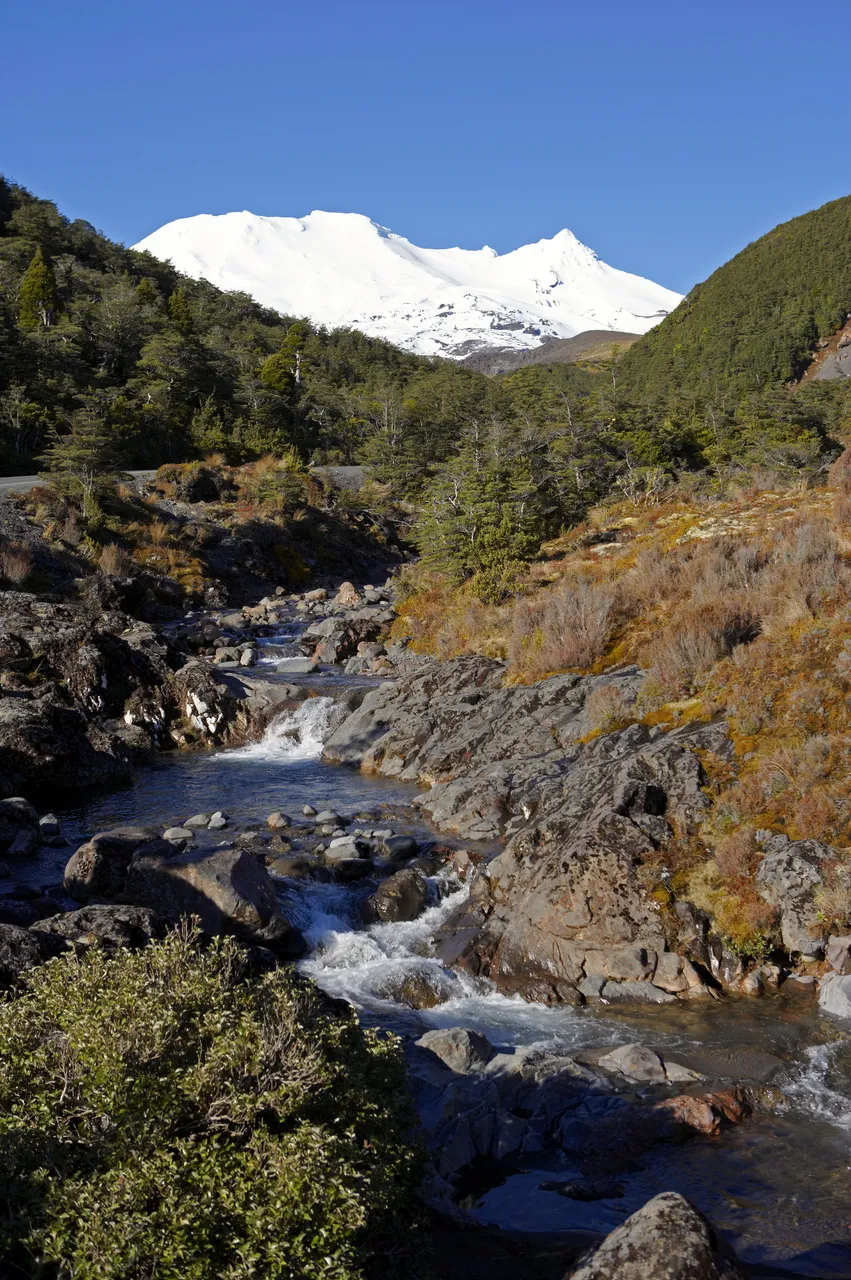 Mangawhero_River_Turoa_at_rear.jpg