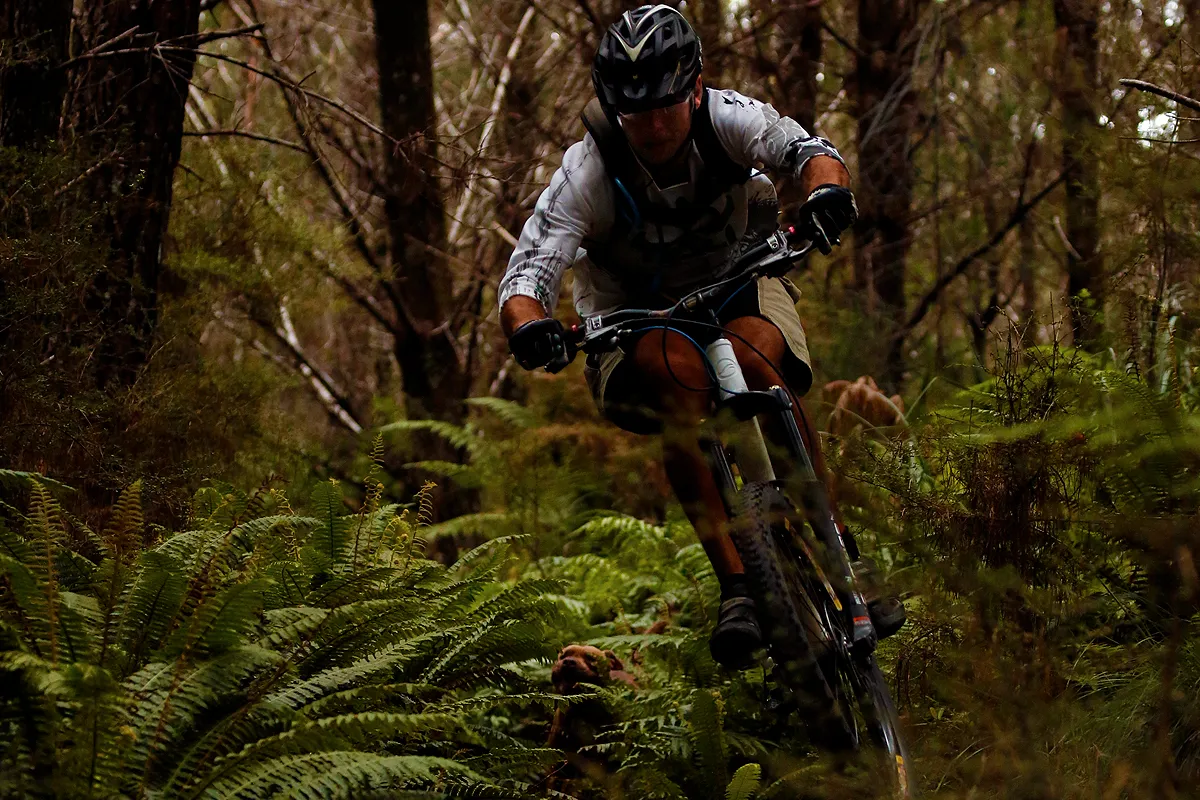 Cycling through The Pines - National Park.jpg