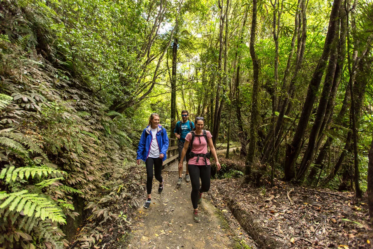 BTN walkers in bush