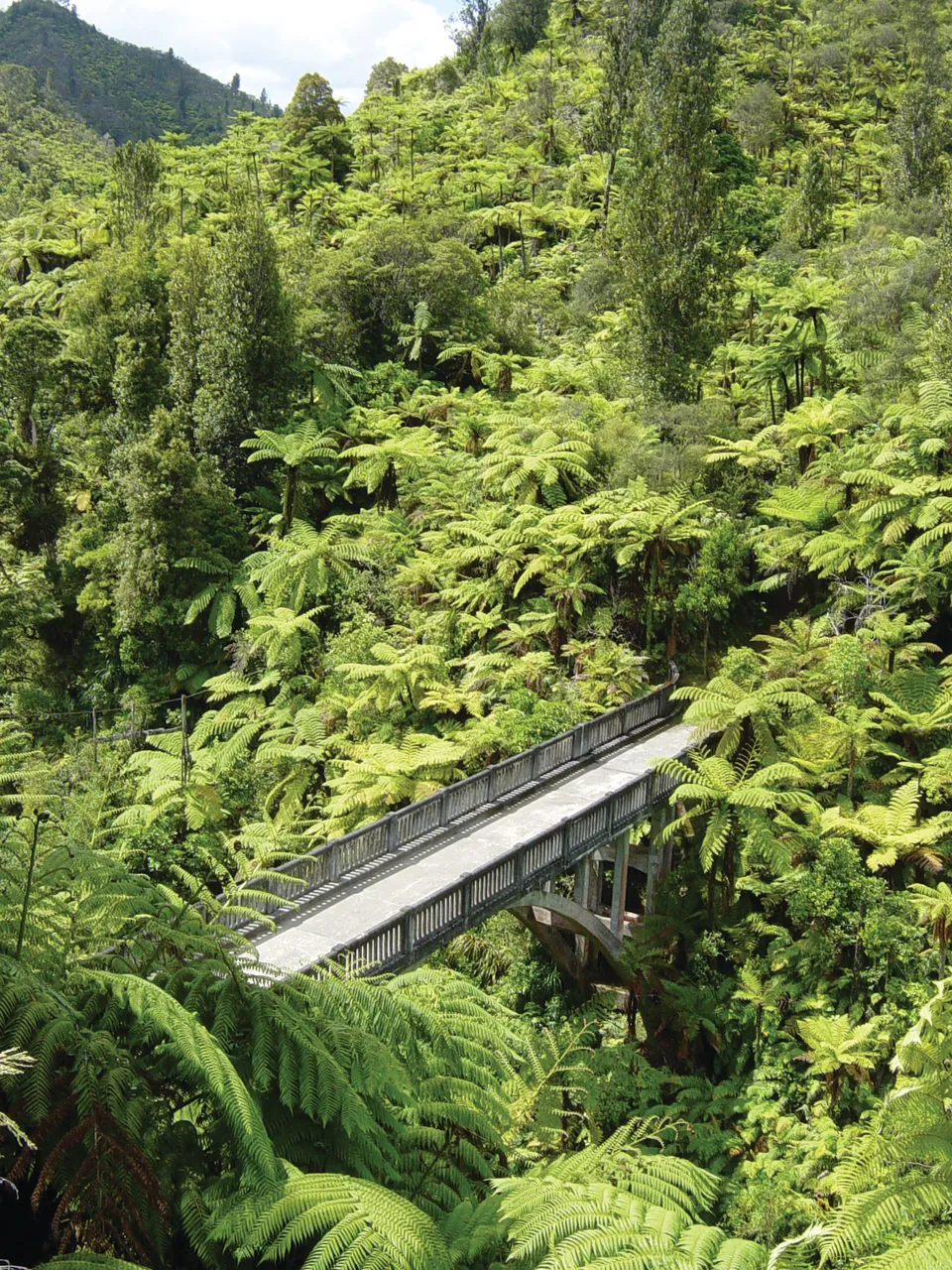 Bridge to Nowhere 1
