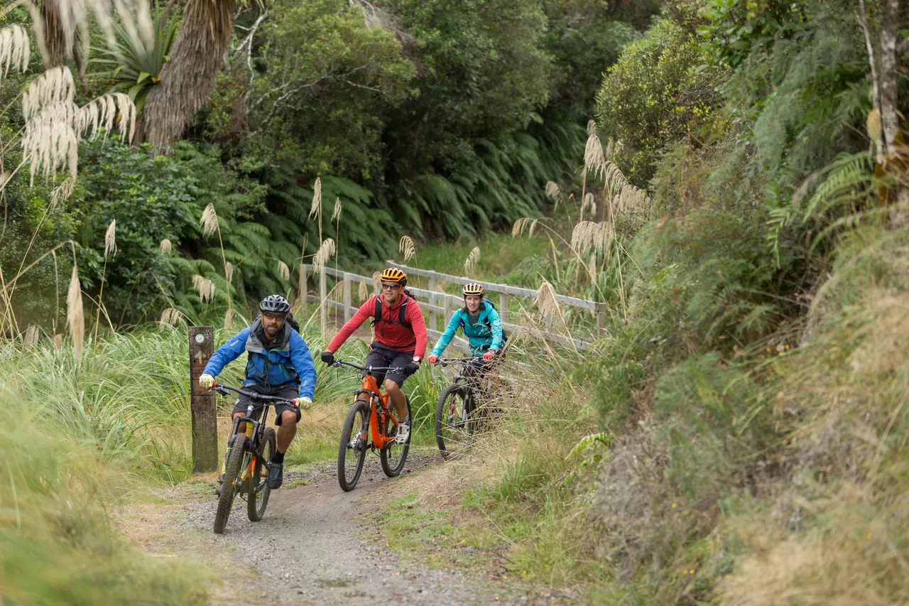 Biking the Ohakune Old Coach Road (5)