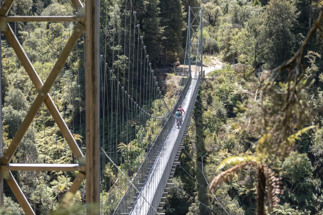 Timber Trail Bridge
