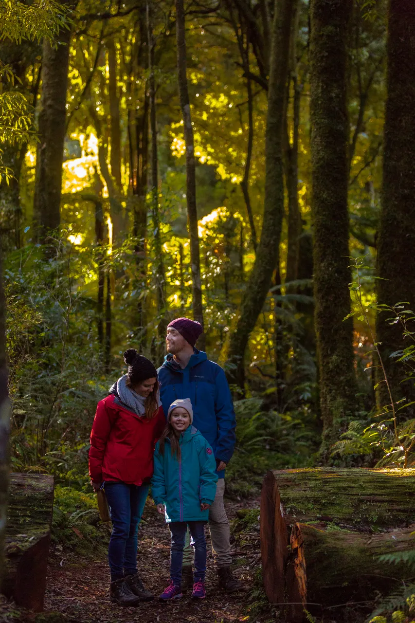 Native Bush Short Walk with Family