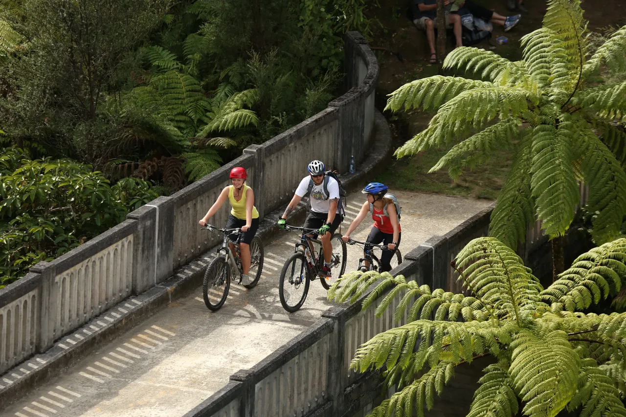 Biking the Bridge to Nowhere
