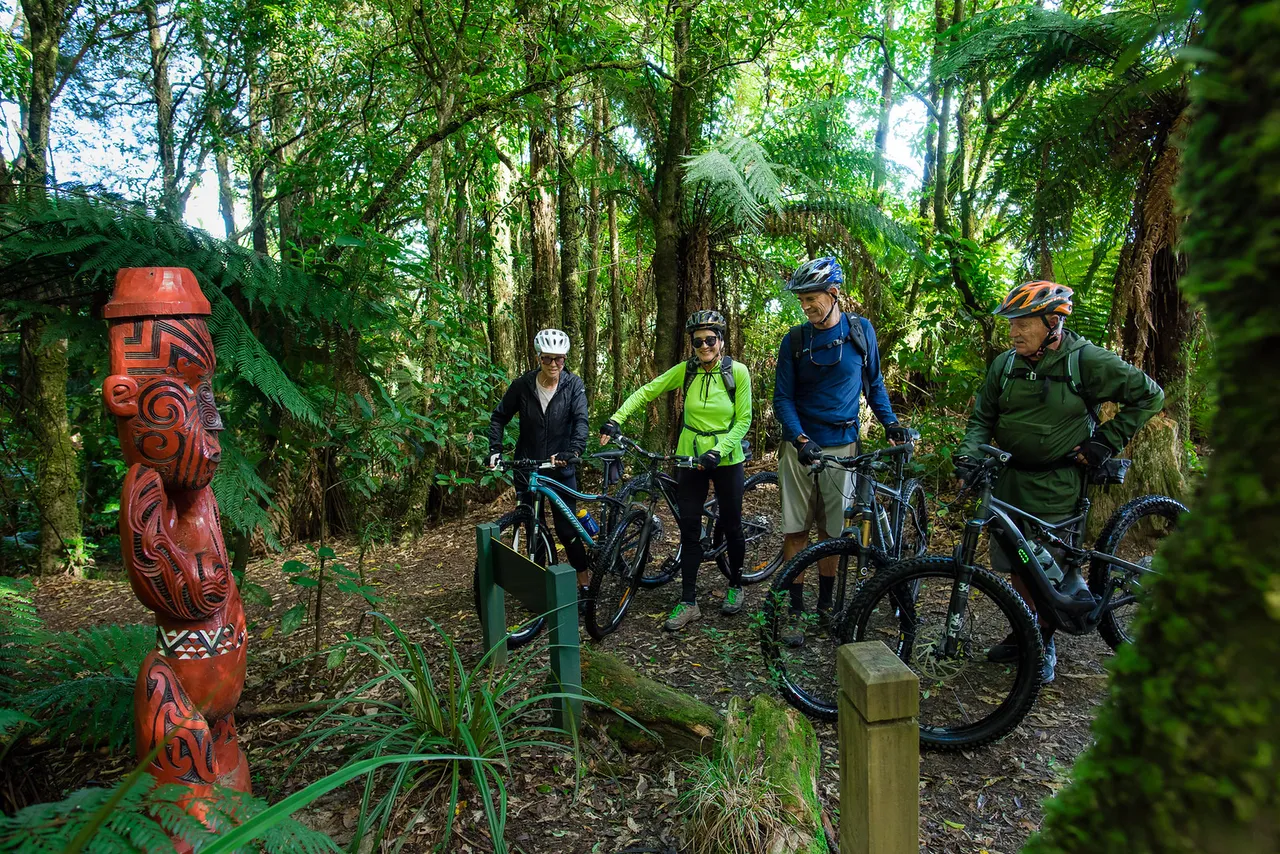 Timber Trail - Credit @studiozag