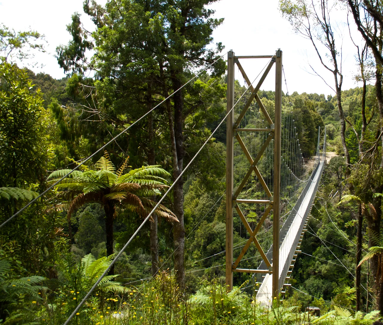 Maramataha Bridge long shot - Timber Trail