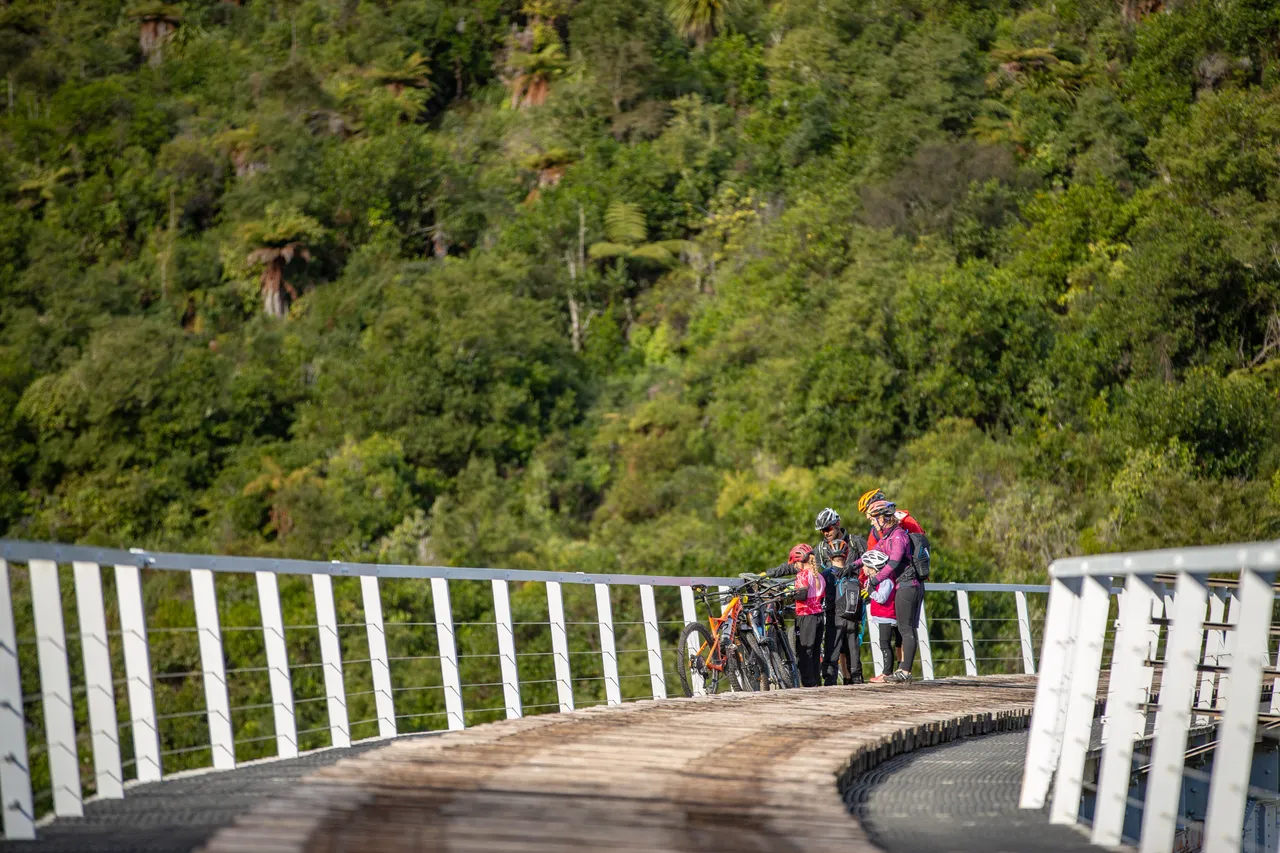Hapuawhenua Viaduct - Ohakune Old Coach Road
