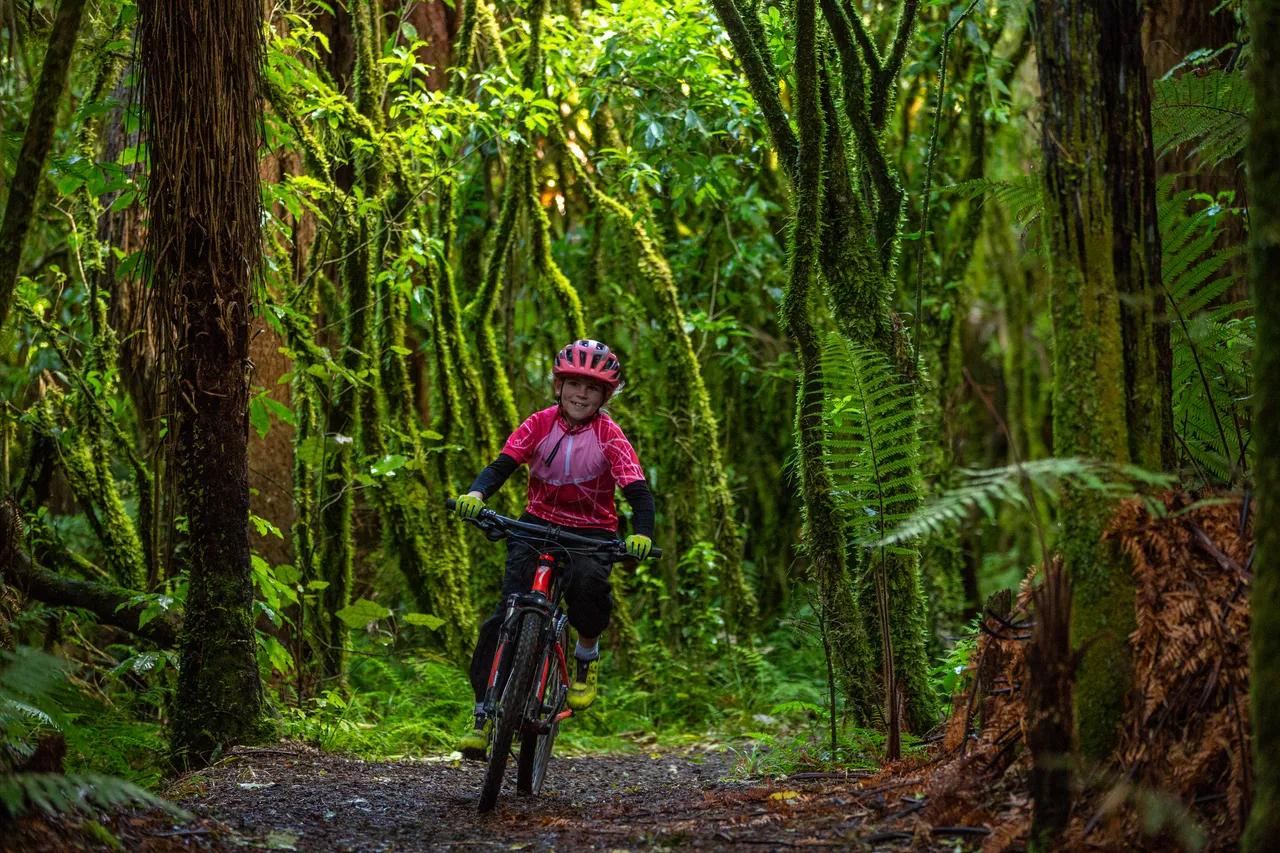 Biking the Ohakune Old Coach Road 3