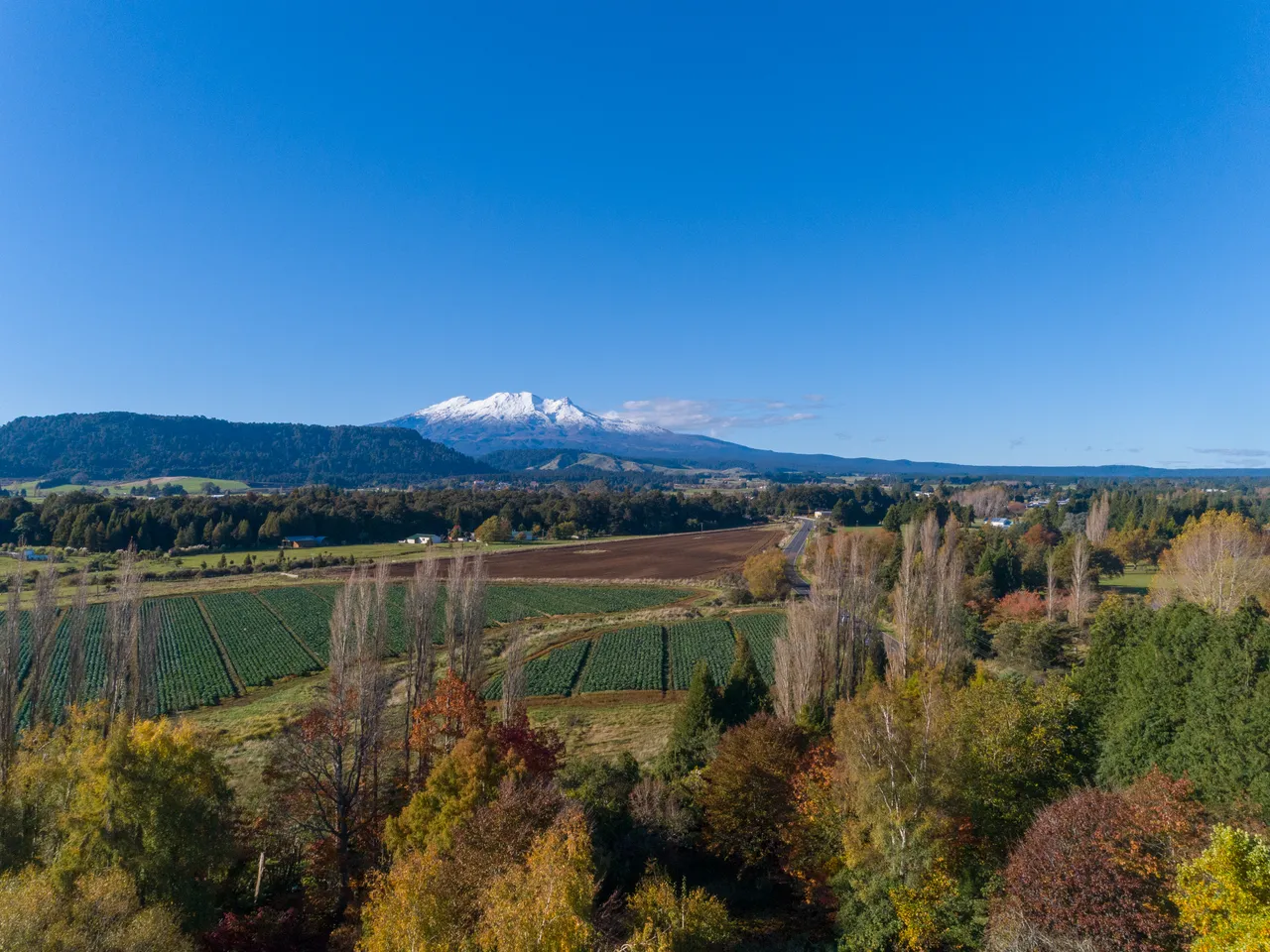DJI_0014