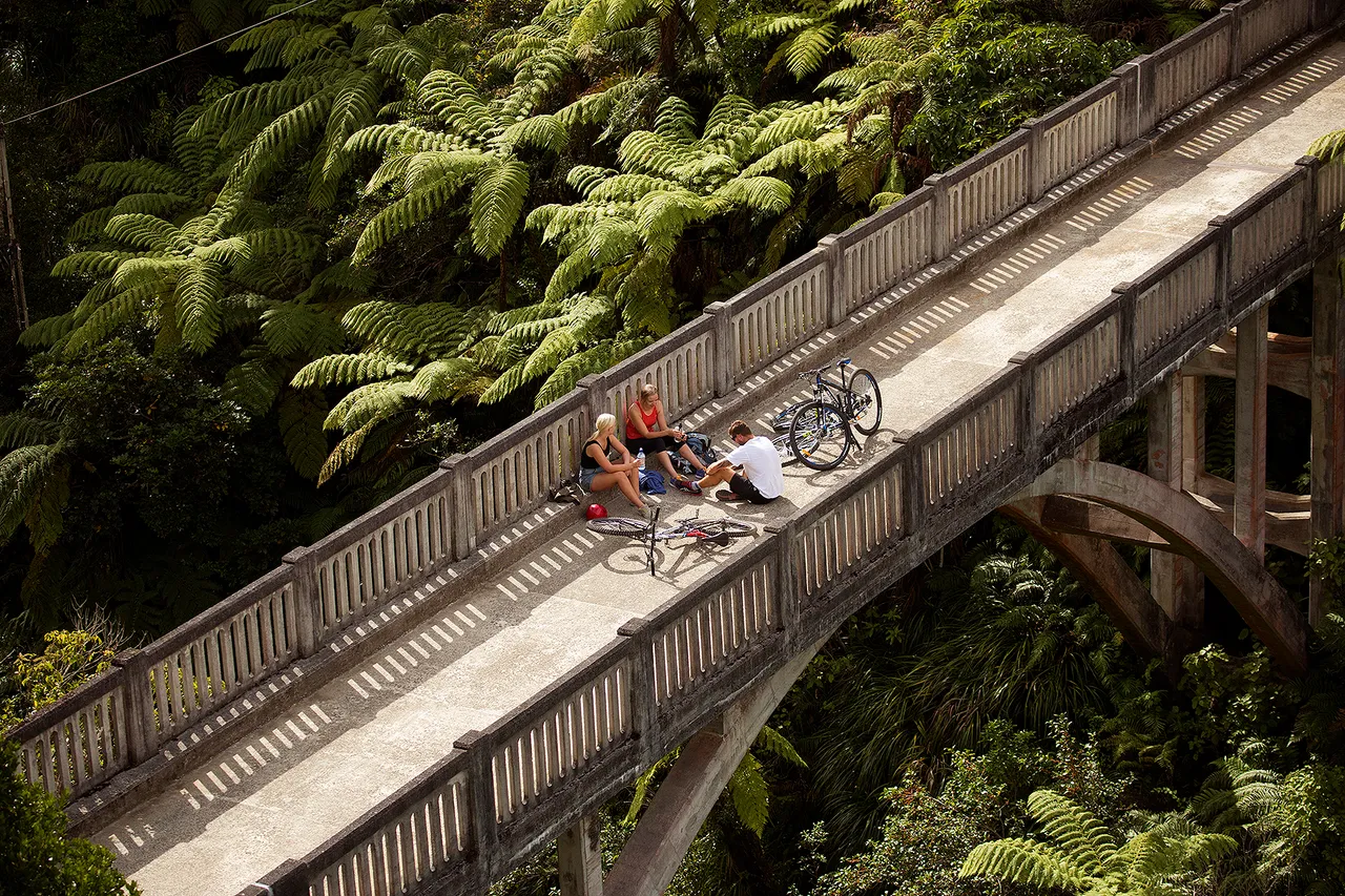 Friend on the Bridge to Nowhere