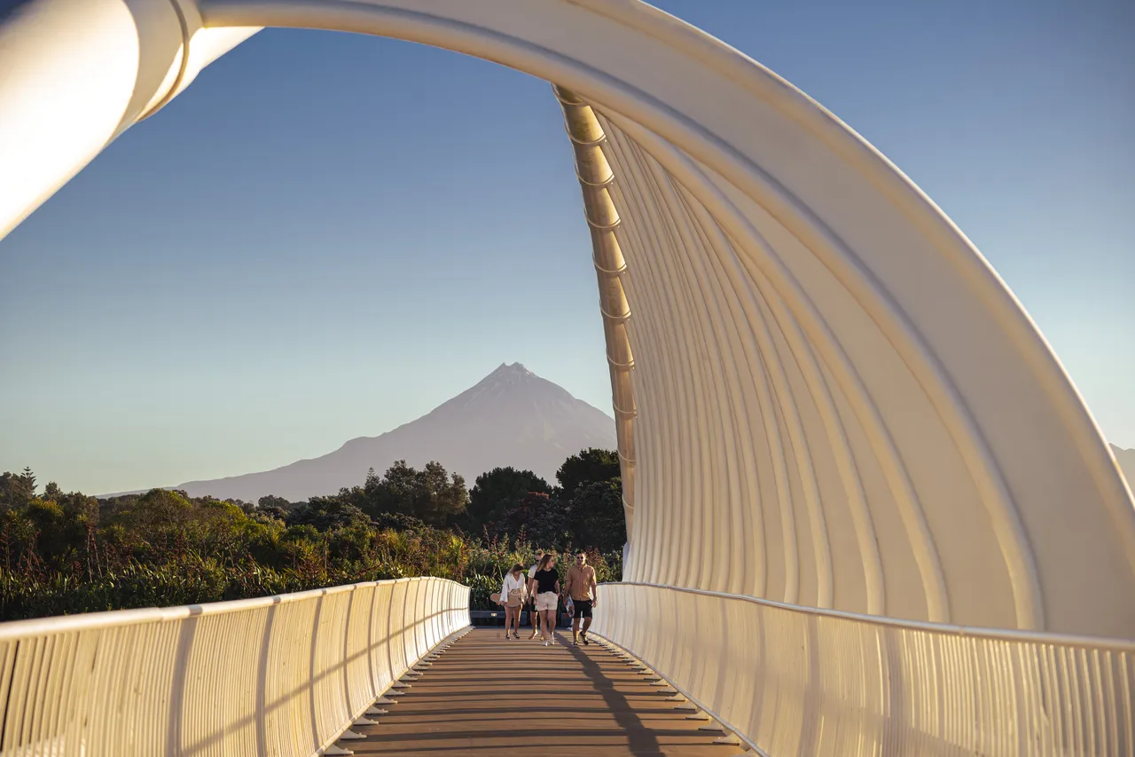 Long shot of friends on Te Rewa Rewa Bridge