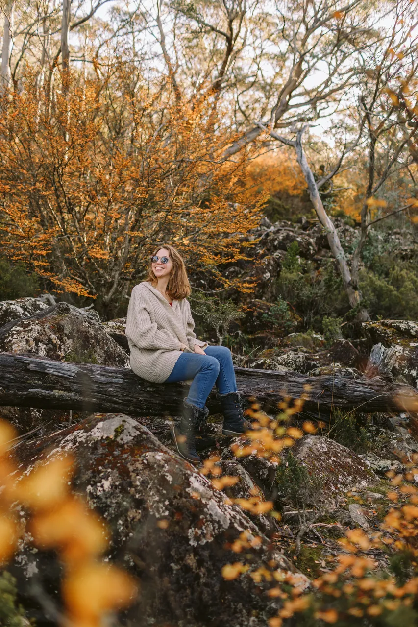 Woman Sitting Among Fagus