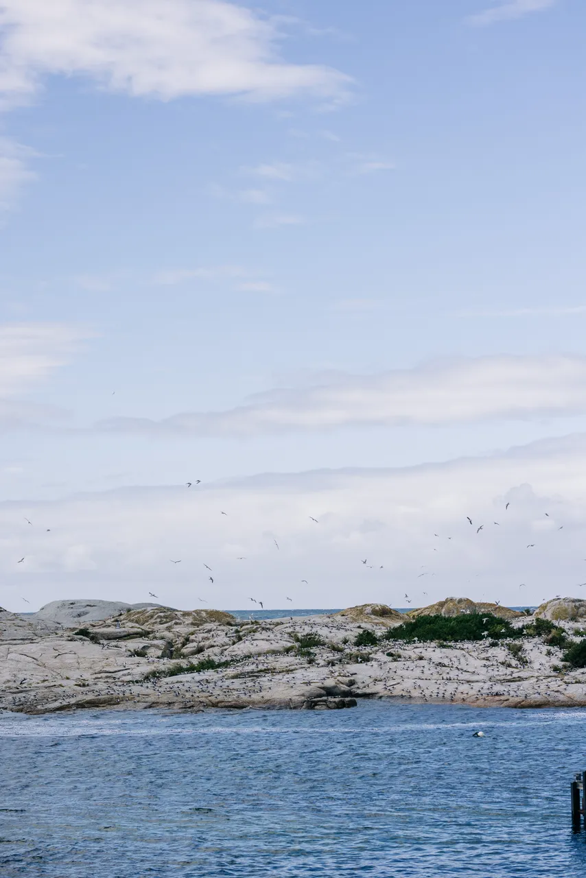 Bicheo Coast
