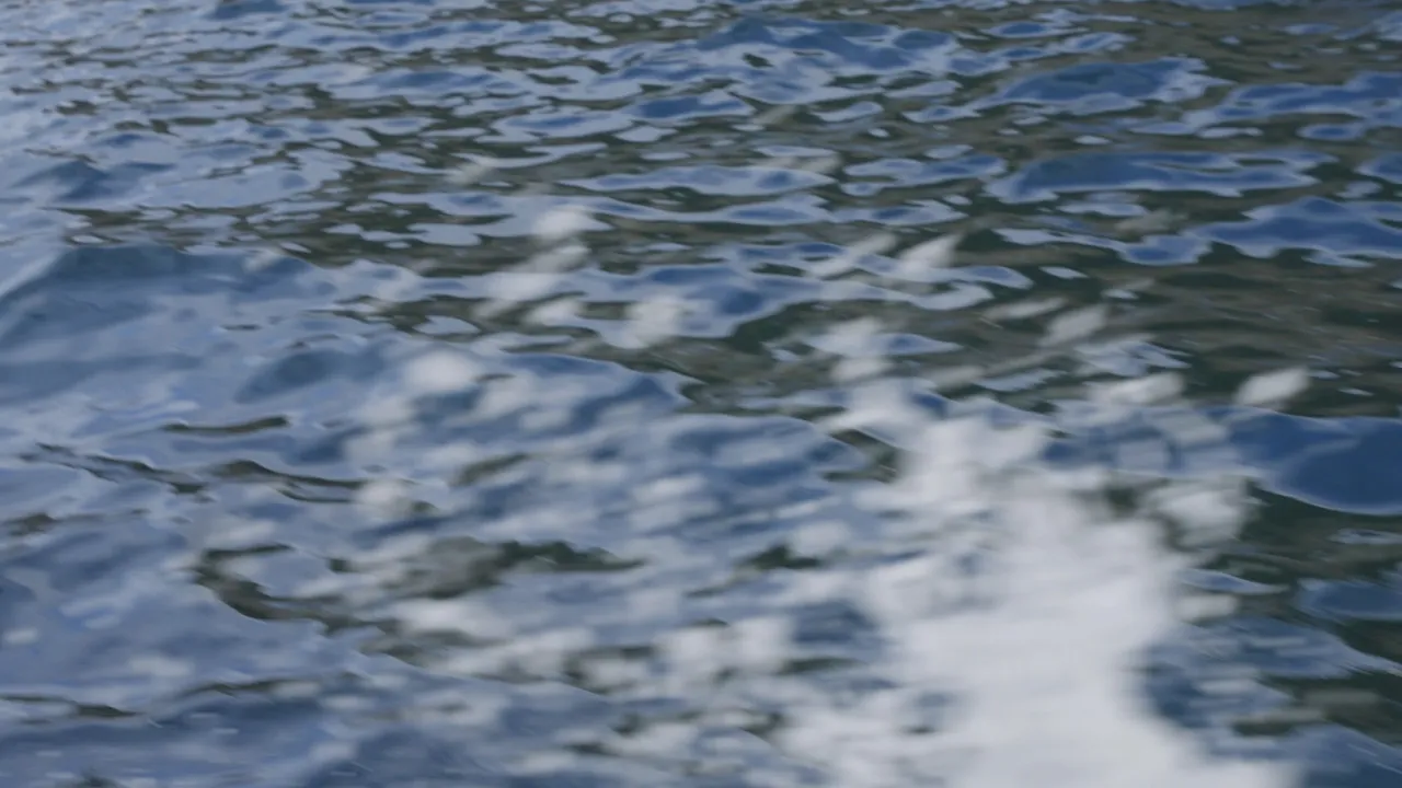 Asset 282102