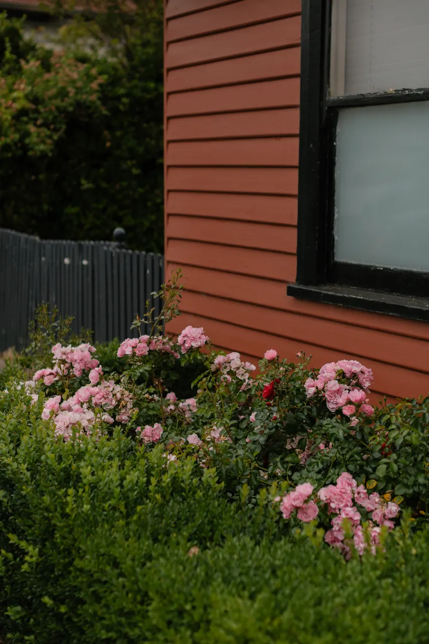 Oatlands Streetscape